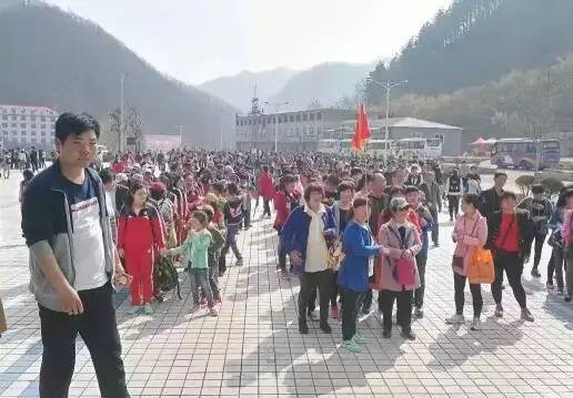 圖片8